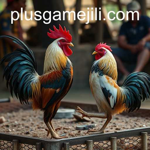 PlusGame
